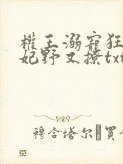 权王溺宠狂傲王妃野又撩txt