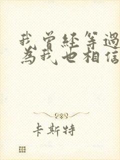 我曾经等过你因为我也相信什么歌