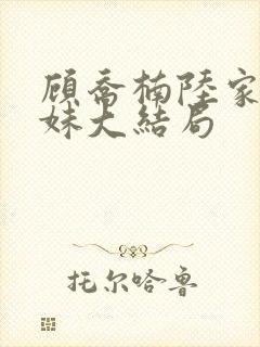 顾乔楠陆家三姐妹大结局