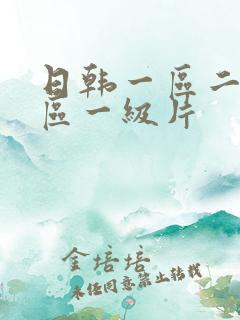 日韩一区二区三区一级片