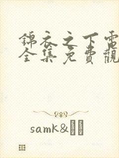 锦衣之下电视剧全集免费观看高清