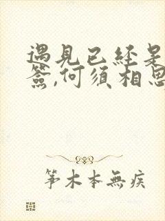 遇见已经是上上签,何须相思煮余年