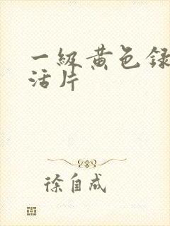 一级黄色录像生活片