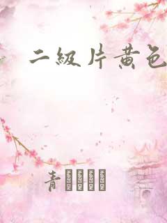 二级片黄色录像
