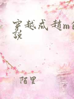 穿越成赵m的小说