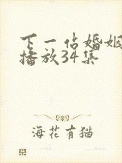 下一站婚姻全集播放34集