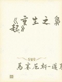 《重生之枭雄崛起》