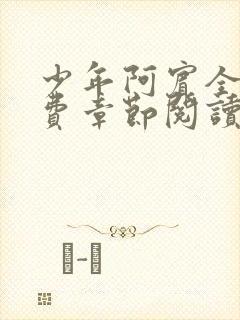 少年阿宾全文免费章节阅读