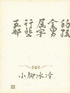 五行属金的字有哪些字男孩子名