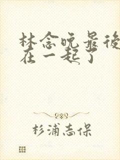 林念晚最后和谁在一起了