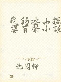 我的冰山总裁老婆有声小说