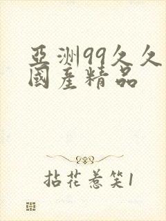 亚洲99久久久国产精品