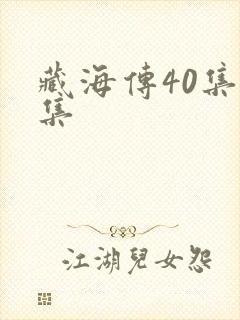 藏海传40集全集