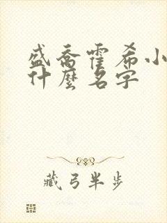 盛乔霍希小说叫什么名字