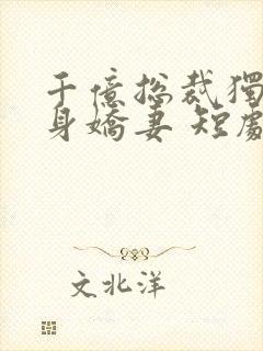 千亿总裁独宠替身娇妻 短剧