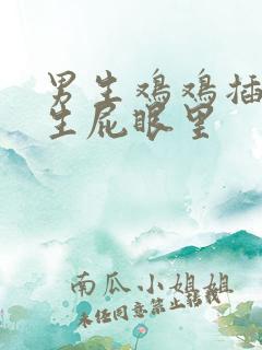 男生鸡鸡插进女生屁眼里