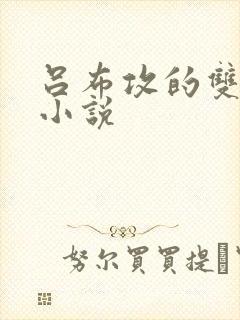 吕布攻的双男主小说