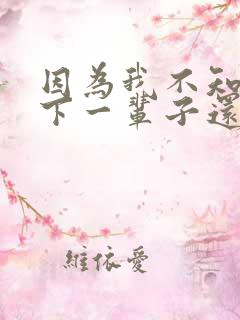 因为我不知道,下一辈子还是否能遇见你歌词