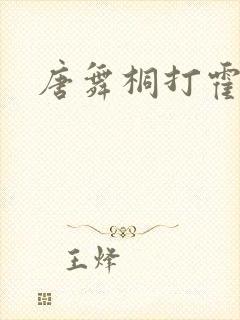 唐舞桐打霍雨浩