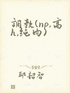 调教(np,高h,纯肉)