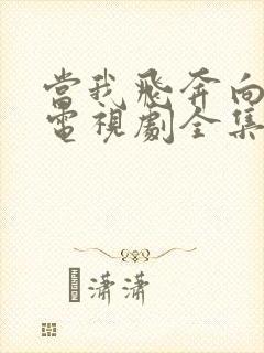 当我飞奔向你的电视剧全集免费观看