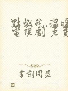 点燃我,温暖你电视剧 免费