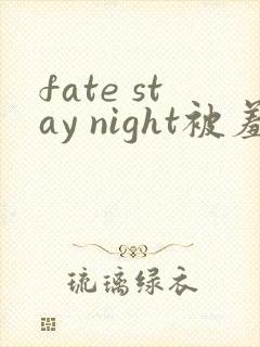 fate stay night被羞辱第几集