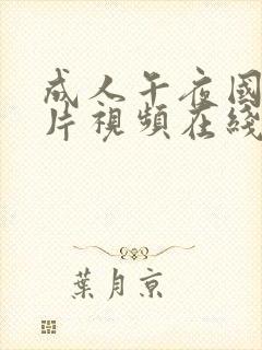 成人午夜国产毛片视频在线