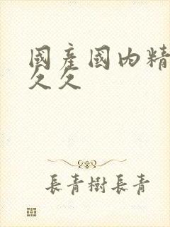 国产国内精品久久久