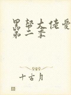 黑帮大佬爱上我第二季