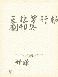 天狼星行动电视剧40集