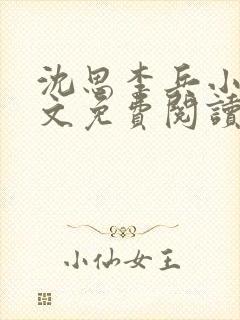 沈思李兵小说全文免费阅读