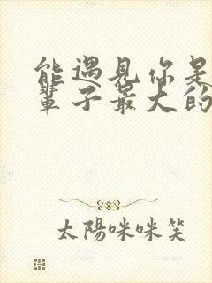 能遇见你是我这辈子最大的幸运