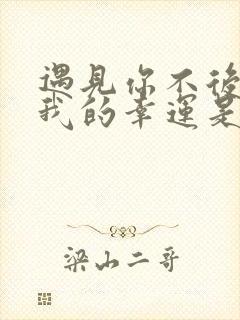 遇见你不后悔是我的幸运是什么歌