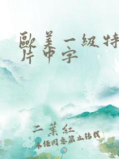 欧美一级特黄大片中字