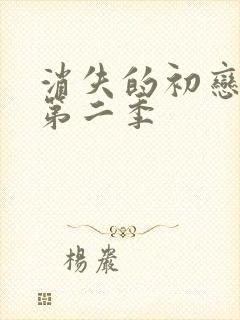 消失的初恋漫画第二季