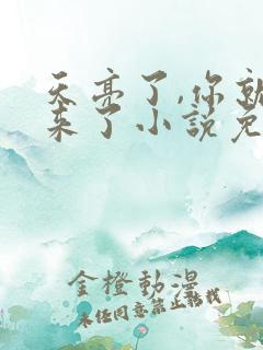 天亮了,你就回来了小说免费阅读