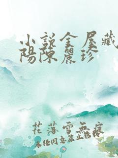 小说金屋藏娇宋阳陈丽珍