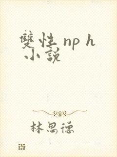 双性 np h 小说