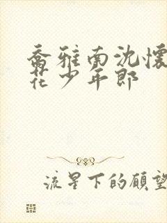 乔雅南沈怀信簪花少年郎