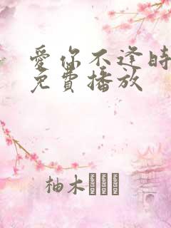 爱你不逢时短剧免费播放