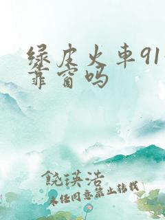 绿皮火车91号靠窗吗