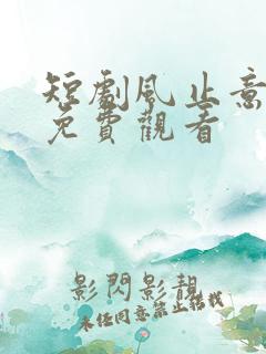 短剧风止意也平免费观看