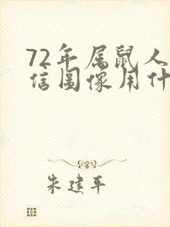 72年属鼠人微信图像用什么好