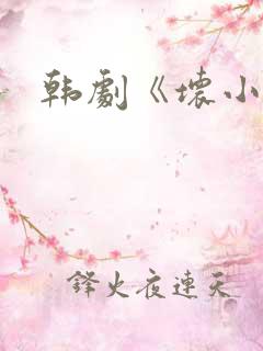 韩剧《坏小子》