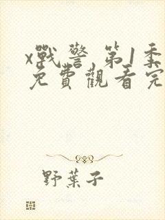 x战警 第1季免费观看完整版在线全集