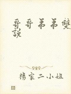 哥哥弟弟双性小说