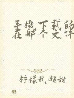 手机下载的文件在哪个文件夹