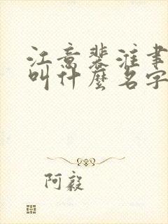 江意裴淮聿小说叫什么名字