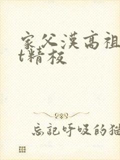 家父汉高祖txt精校